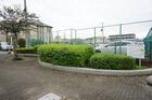 柳窪西緑地(公園)