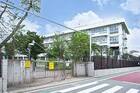 武蔵野市立第三小学校(小学校)