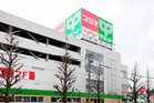 コジマドラッグ善福寺店(ドラッグストア)