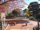 どんぐり緑地（公園）