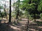 野川緑地公園（公園）