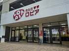 スーパーバリューロピア松原店(スーパー)