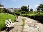代官山公園(公園)
