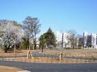 東山公園（公園）