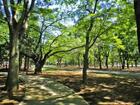 東京都立代々木公園（公園）