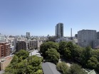 広がる緑と都会のパノラマが交差する、渋谷・11階の眺めをぜひその足で。