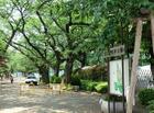 羽根木小緑地（公園）