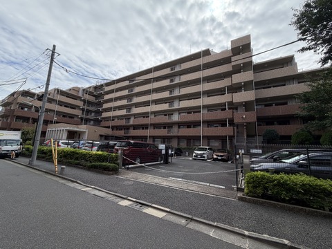シャールレーク大井桜通り