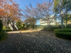 四季折々の表情を見ることができます♪
