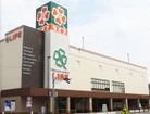 ライフ渋谷東店（スーパー）