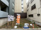 参考プラン有