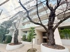 複数路線利用可