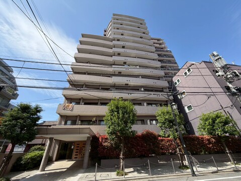 ザパームス東中野エアリィタワー