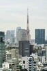 東京タワー眺望