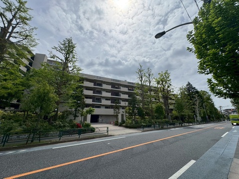 グランドメゾン杉並シーズン　シーズン６