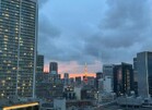 東京タワー眺望