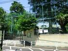渋谷区立猿楽小学校（小学校）