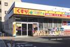 どらっぐぱぱす練馬田柄店(ドラッグストア)
