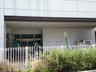 いずみこども園（幼稚園、保育園）