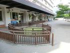 赤坂保育園（幼稚園、保育園）