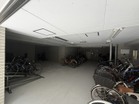 【駐輪場】手入れが行き届き管理体制も良好です。