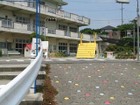 丸山保育園(幼稚園、保育園)