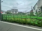 建築条件なし！