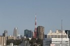 東京タワーを望むリノベーション住戸