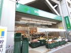 マルエツプチ本郷二丁目店（スーパー）
