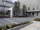 杉並区立杉並和泉学園新泉和泉小学校(小学校)