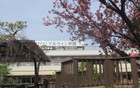 野のはな空のとり保育園（幼稚園、保育園）