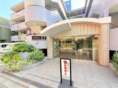 セザール長原
