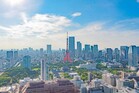 ４３階から望む東京タワー