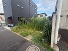 きれいな整形地