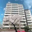 リノベーション物件
