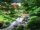 文京区立関口台公園（公園）
