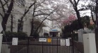 文京区立根津小学校（小学校）