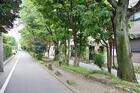 呑川柿の木坂支流緑道（公園）