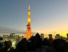 東京タワービュー