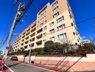 ペットと暮らせる快適マンション