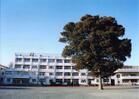 世田谷区立緑丘中学校(中学校)