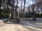 塚山公園(公園)