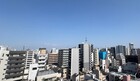 隅田川花火大会・スカイツリー望む