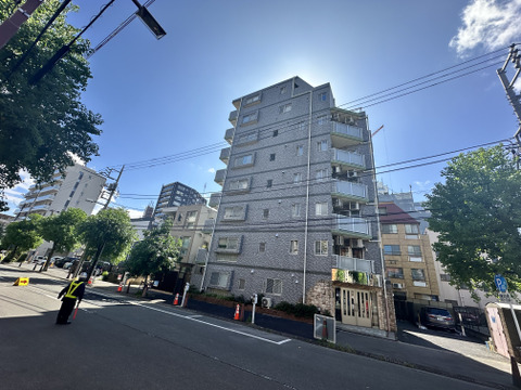 センチュリープラチナマンション池上