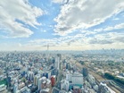 この眺望が日常になる暮らし