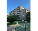 室内より目黒川の桜並木を眺められます