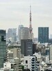 東京タワービュー